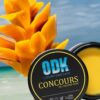ODK Concous Lifestyle
