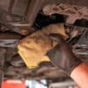 Autobrite Direct Super Degreaser 4