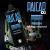 Paicar 03 Finishpolitur