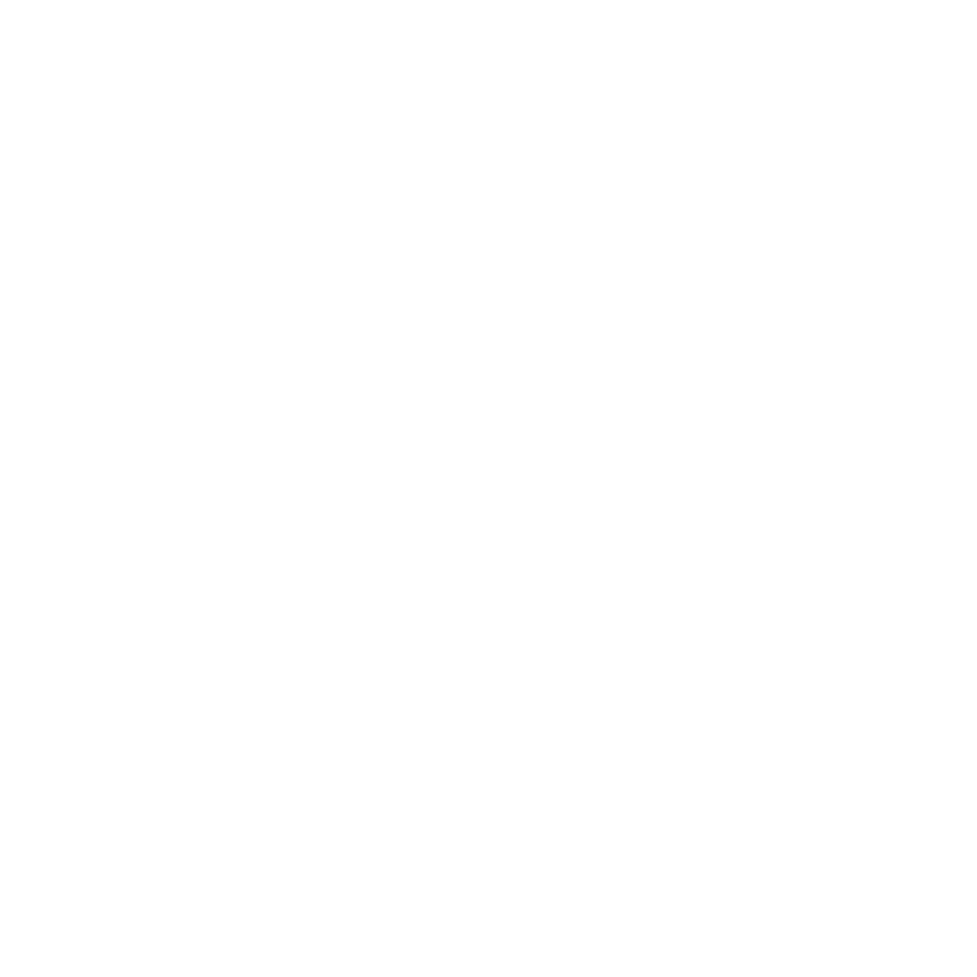 Paicar Logo