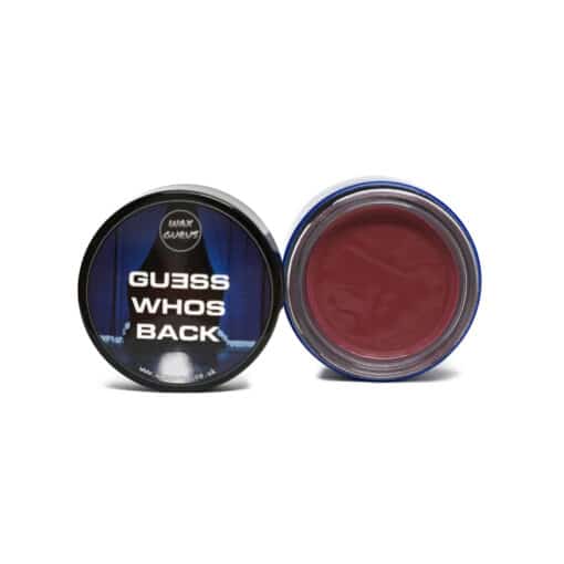 Wax Gurus Gues Whos Back 3